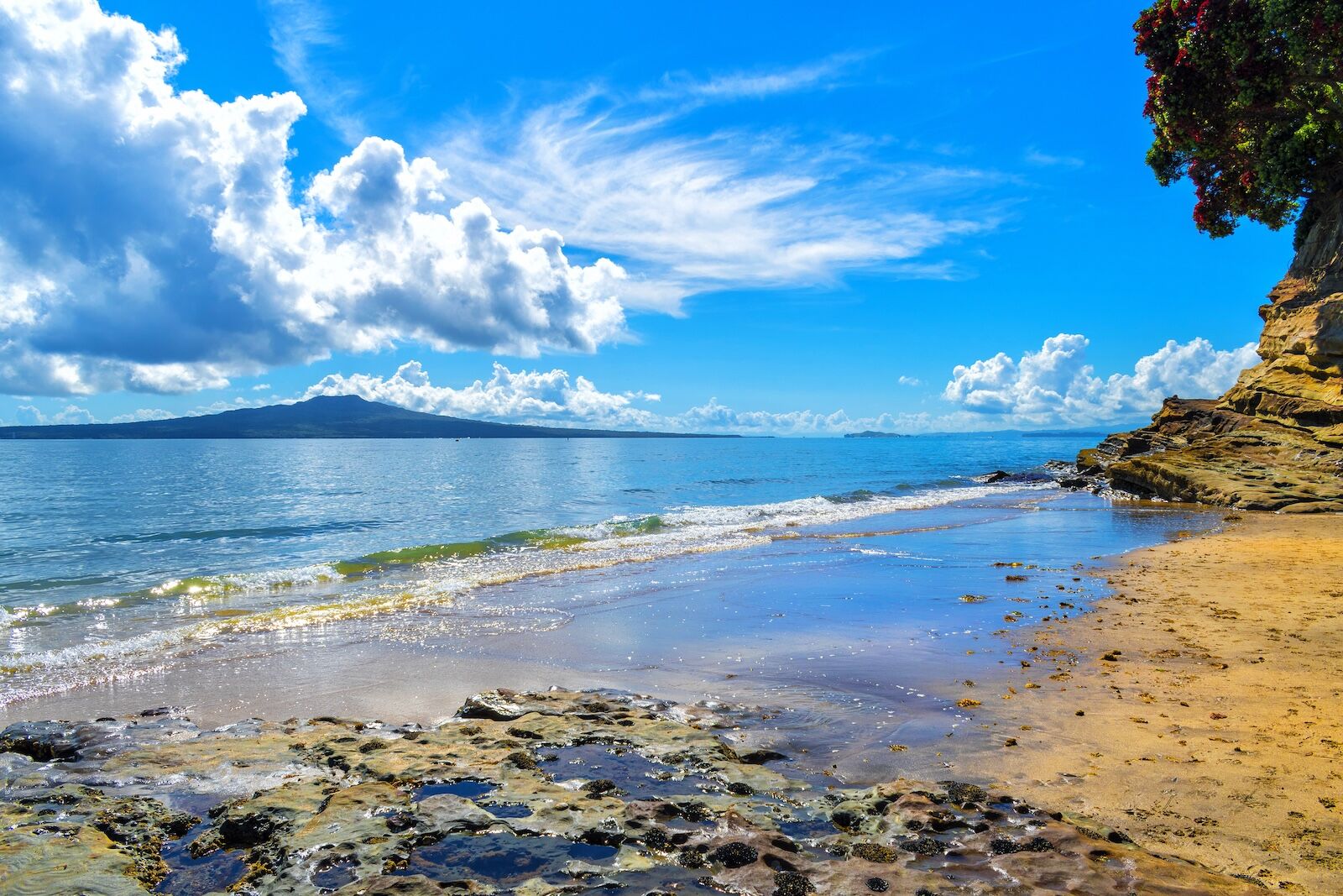 takapuna beach near auckland, new zealand